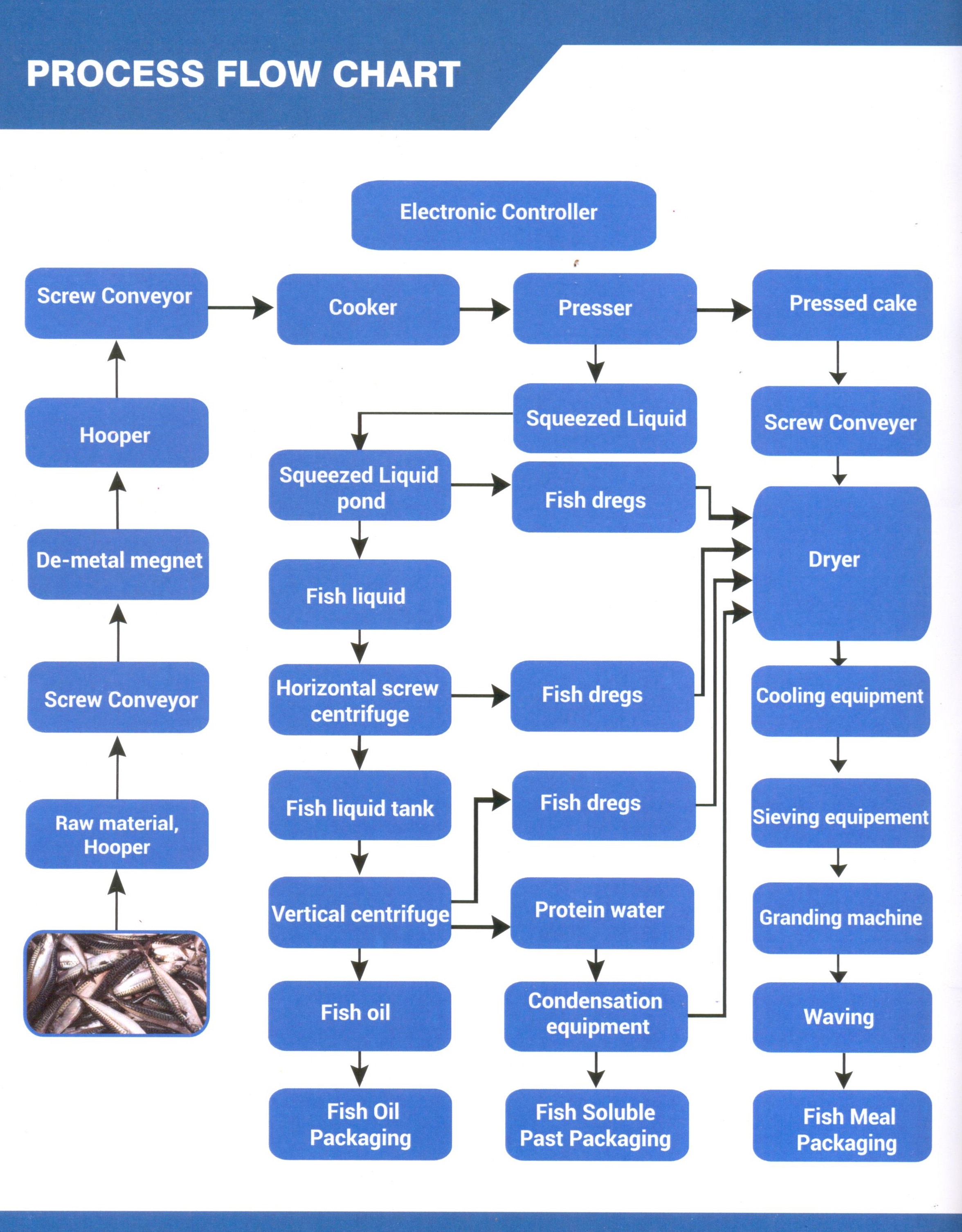 Flow Chart Coastal Fisheries